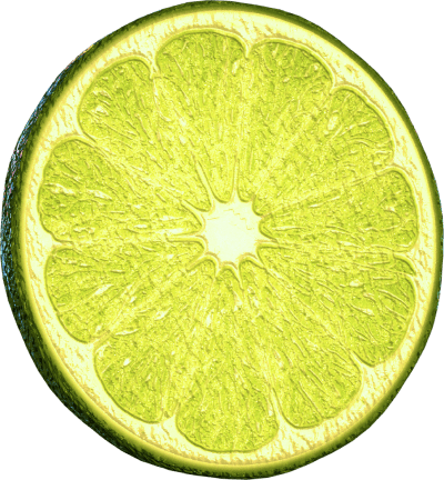 render of fresh lime slice